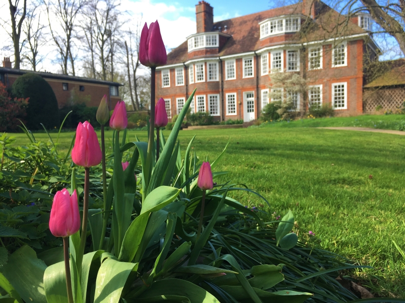 Trinity College Fellows' Garden